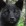 Onyx Ryans