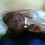 Chime Chioma Miriam